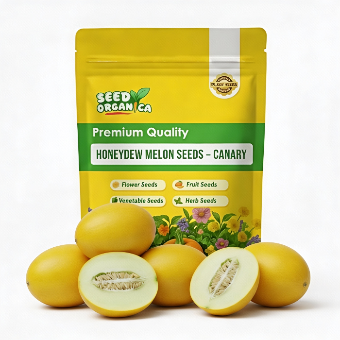 Cool Review About Canary Melon Seeds