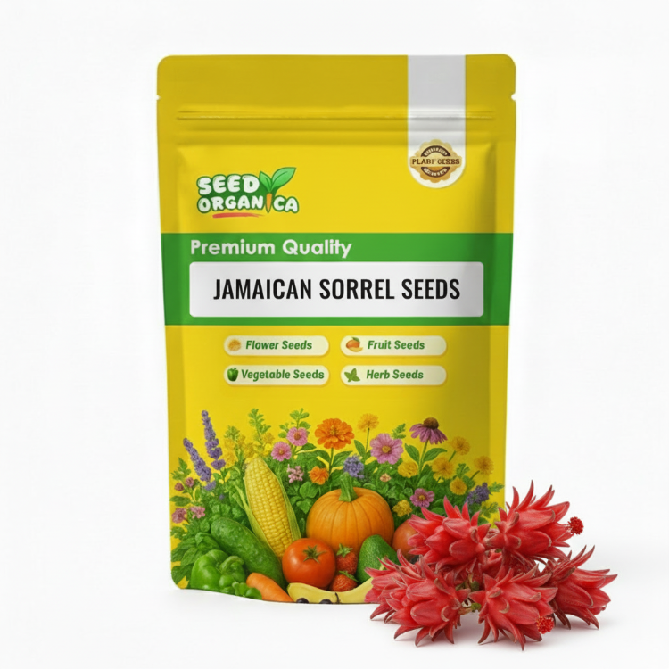 Jamaican Sorrel Seeds Roselle Garden Herb Seeds jamaican-sorrel-seeds-roselle-garden-herb-seeds
