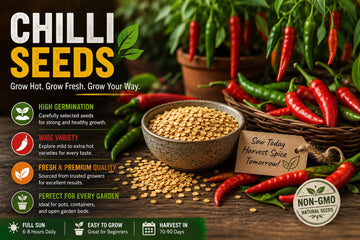Chilli Seeds: Everything You Need to Know for Successful Germination and Healthy Plants