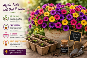 Can You Grow Calibrachoa from Seeds? 5 Myths, Facts, and Best Practices Explained