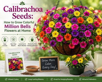 Grow vibrant calibrachoa at home