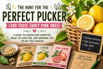 Where to Buy Lemon Seeds: The Hunt for the Perfect Pucker (And Those Fancy Pink Ones)