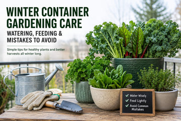 Winter Container Gardening Care: Watering, Feeding, and Mistakes to Avoid