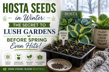 Start Hosta Seeds in Winter: The Secret to Lush Gardens Before Spring Even Hits