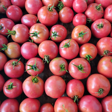 Tomato Seeds – Pink and Yellow