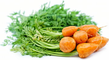 Premium Parisian Carrot Seeds – Vegetable Plant