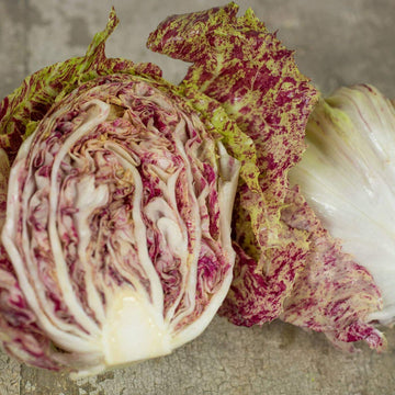 Radicchio Seeds - Castelfranco