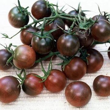 Tomato Seeds – Black Cherry
