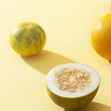 Melon Seeds – Dosakai