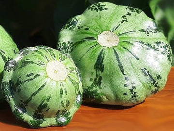 Squash Seeds – Malachite Green Patty Pan