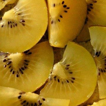 Golden Yellow Kiwi Seeds – Fruit Plant
