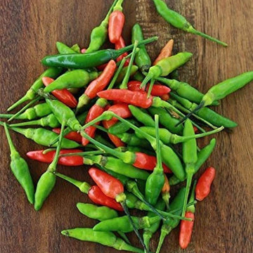 Chilli Pepper Seeds - Kanthari