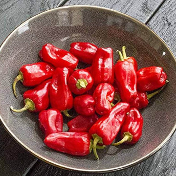 Halaby Pepper Seeds - Vegetable Plant