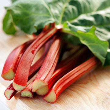 Rhubarb Seeds