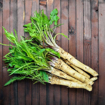 Horseradish Seeds – Heirloom