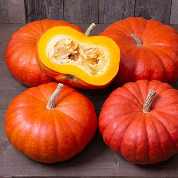 Bright Red Pumpkin Seeds –  Vegetable Plant