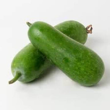Hairy Gourd Seeds – Vegetable Plant