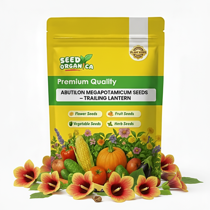 Abutilon Megapotamicum Seeds – Trailing Lantern