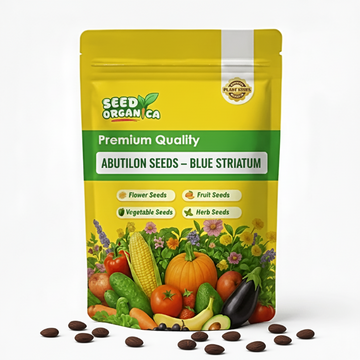 Abutilon Seeds – Blue Striatum