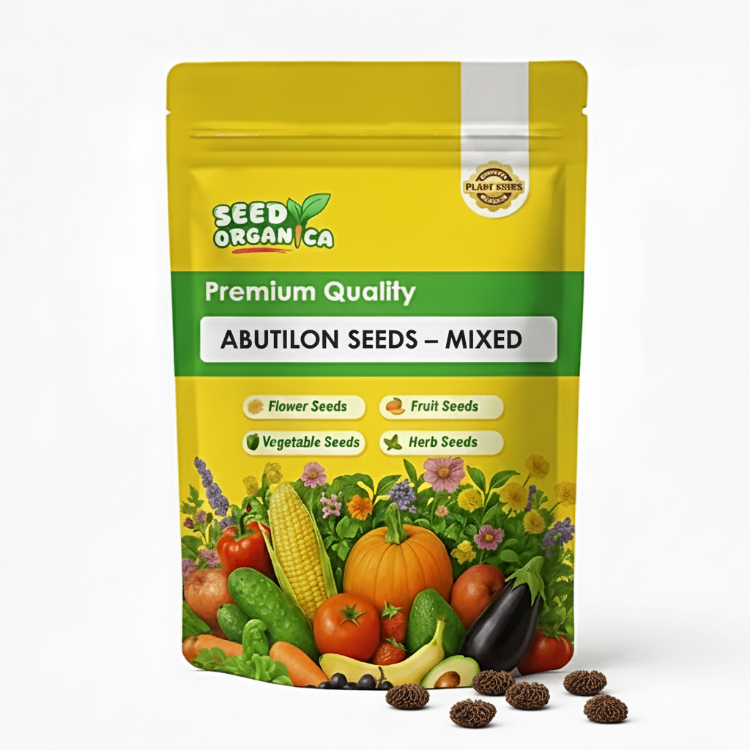 Abutilon Seeds – Mixed