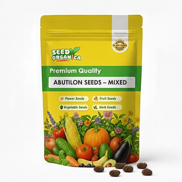 Abutilon Seeds – Mixed