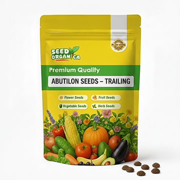 Abutilon Seeds – Trailing