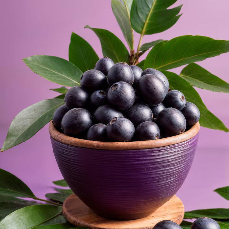 Acai Seeds - All In One For Home Gardens