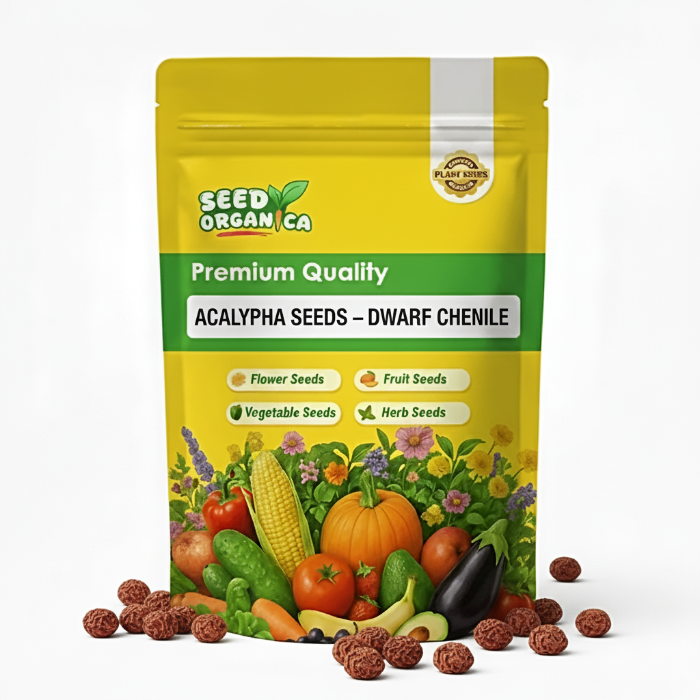 Acalypha Seeds – Dwarf Chenille