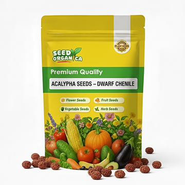 Acalypha Seeds – Dwarf Chenille