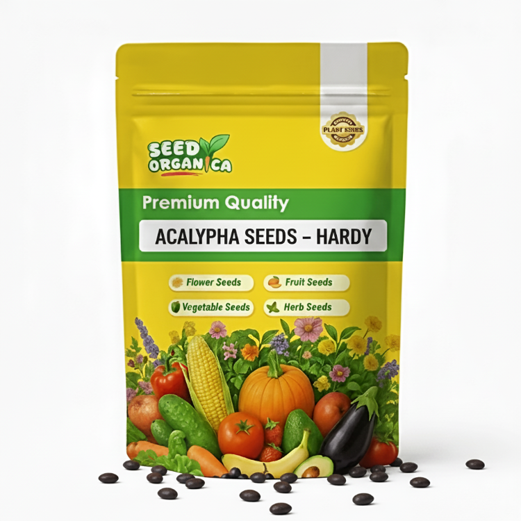 Acalypha Seeds – Hardy