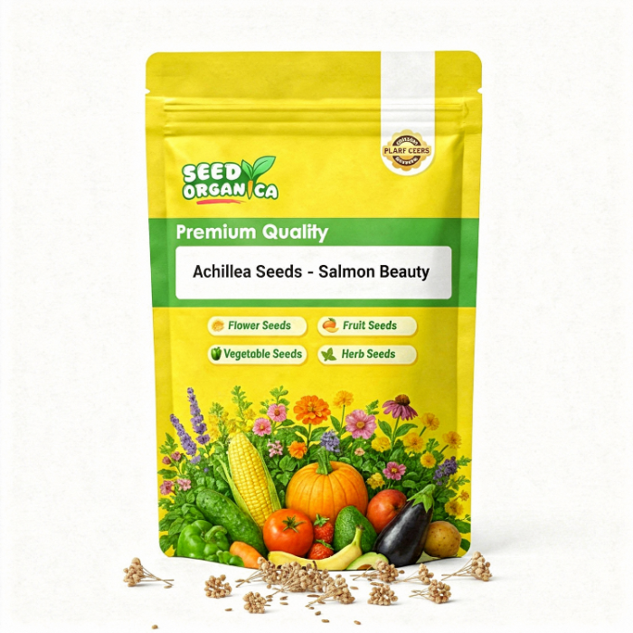 Achillea Seeds - Salmon Beauty