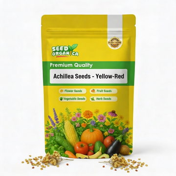 Achillea Seeds - Yellow-Red