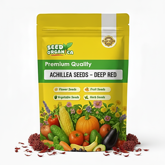 Achillea Seeds – Deep Red