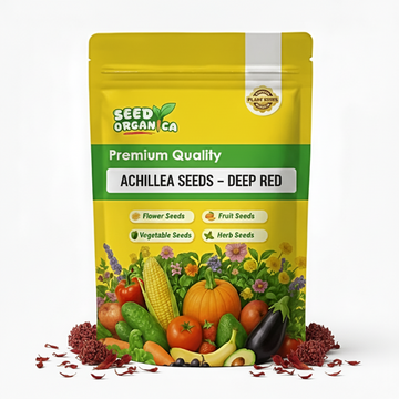Achillea Seeds – Deep Red