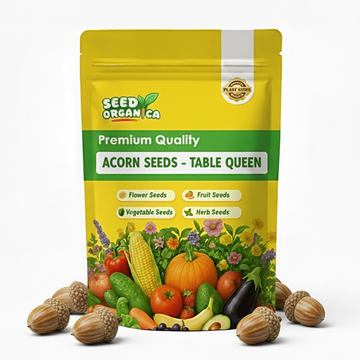 Acorn Seeds - Table Queen