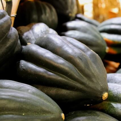 Acorn Squash Seeds – Table King