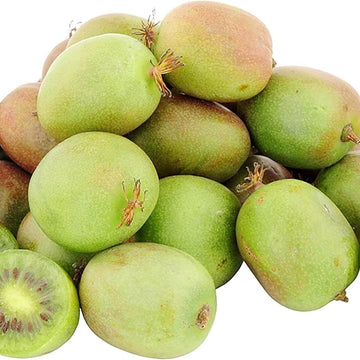 Actinidia arguta Seeds – Hardy Kiwi Vine