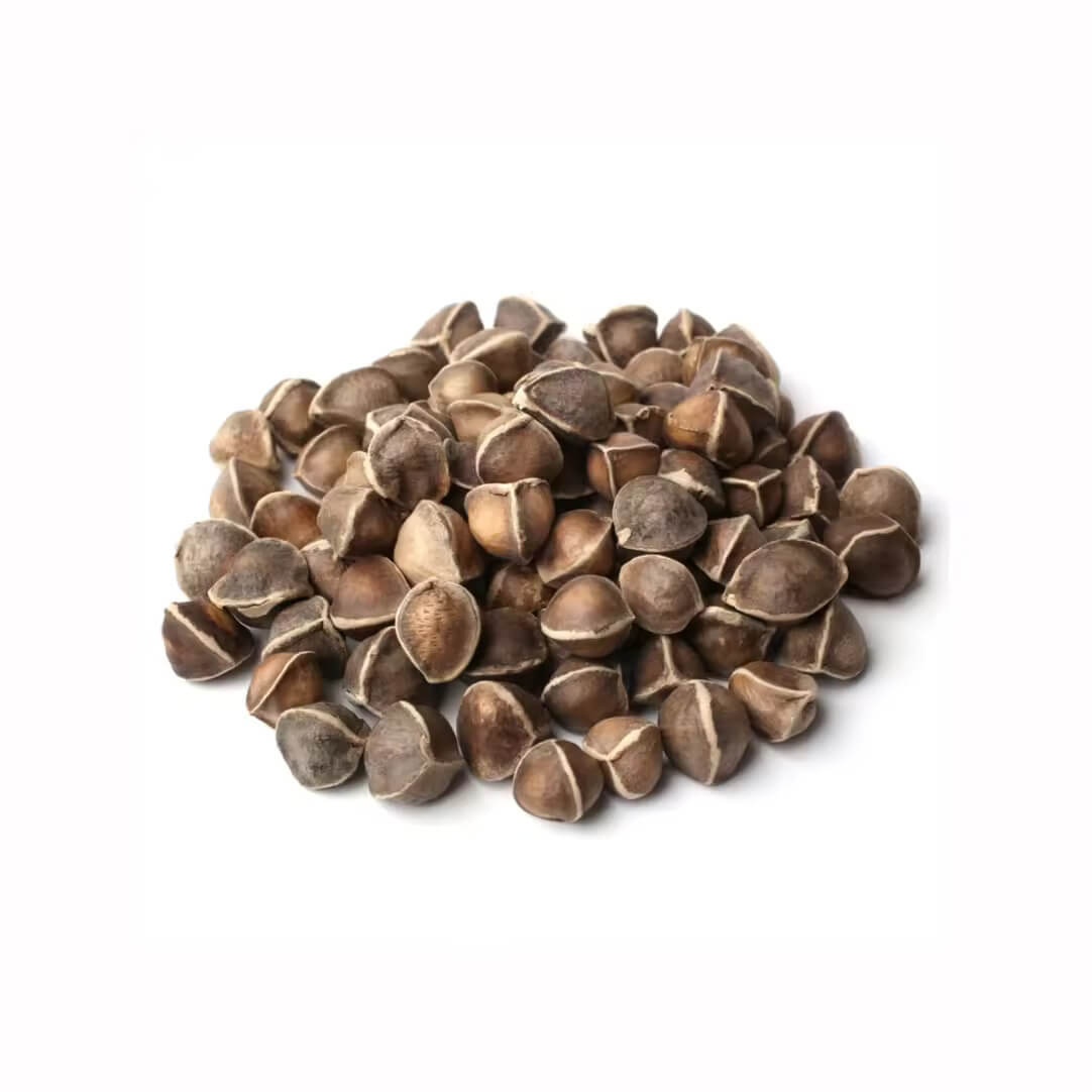 Adenium Obesum Desert Rose Seeds