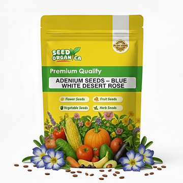 Adenium Seeds – Blue White Desert Rose