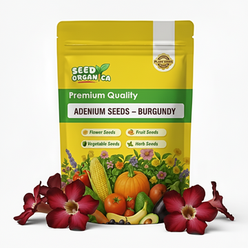 Adenium Seeds – Burgundy