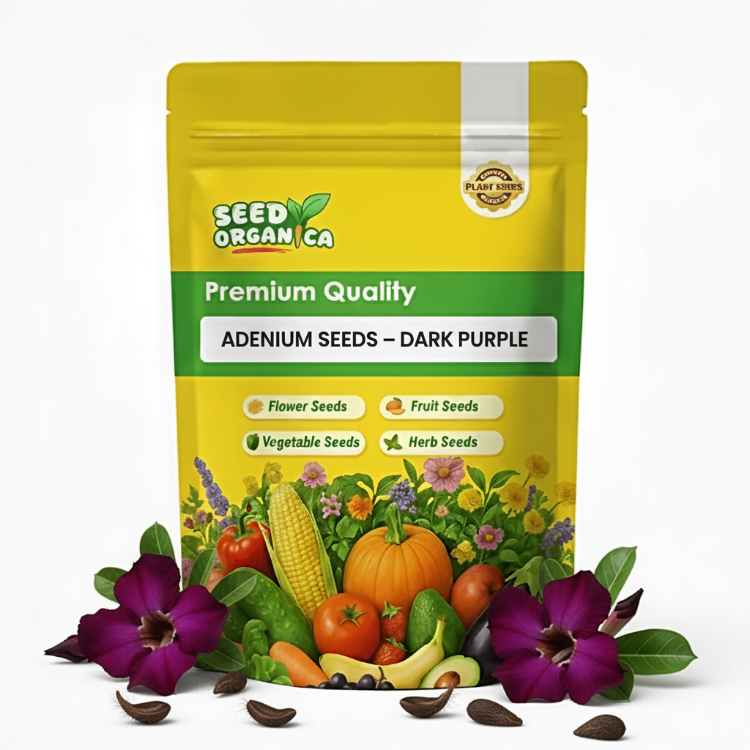 Adenium Seeds – Dark Purple