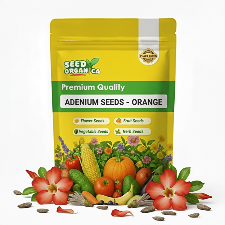 Adenium Seeds – Orange