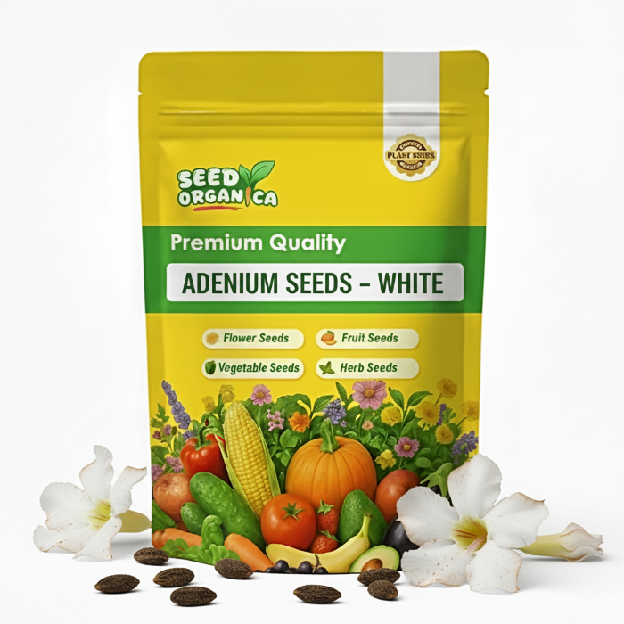 Adenium Seeds – White