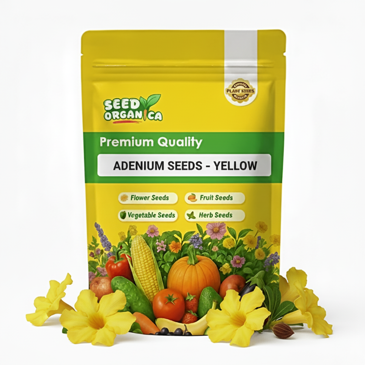 Adenium Seeds – Yellow