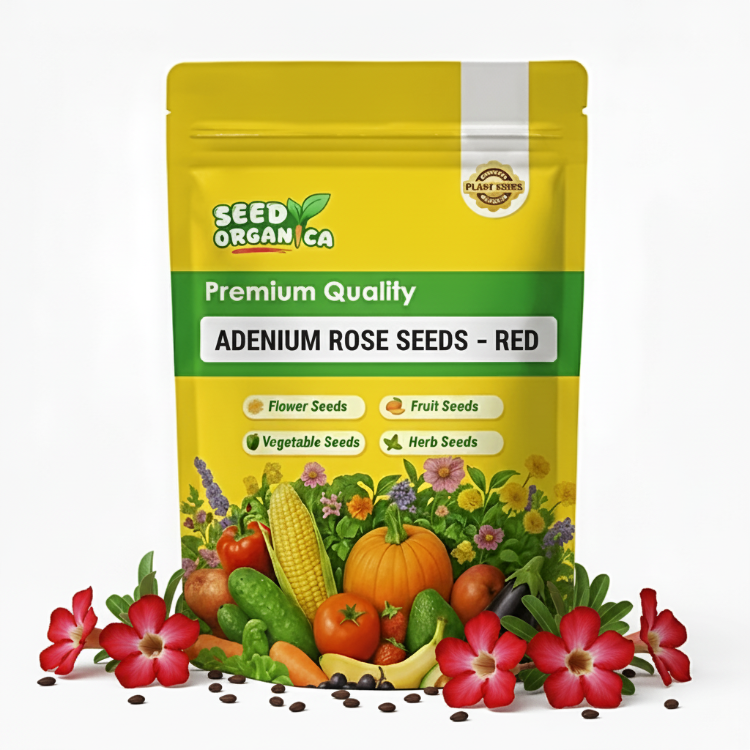 Adenium rose Seeds – Red