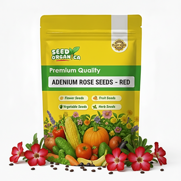 Adenium rose Seeds – Red