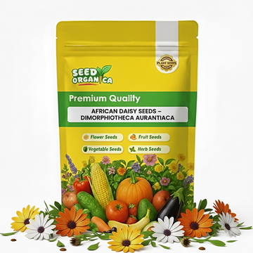 African Daisy Seeds – Dimorphotheca aurantiaca