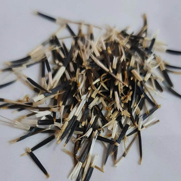 African Marigold Seeds