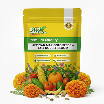 African Marigold Seeds – Tall Double Bloom