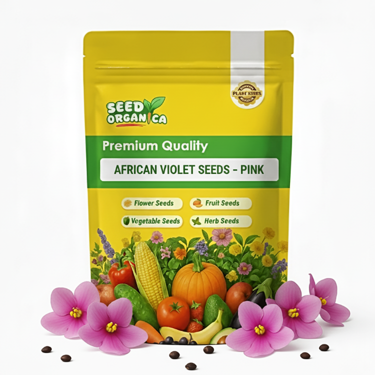 African Violet Seeds – Pink